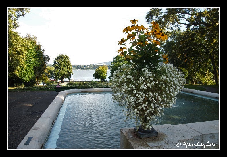 159 Le parc Perle du Lac